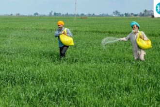 g-ram-g-act-introduced-today:-the-complete-list-of-new-statewide-daily-wage-rates
