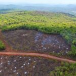 chhattisgarh-forest-department-deploys-locals-at-30-locations-in-abujamad:-officials