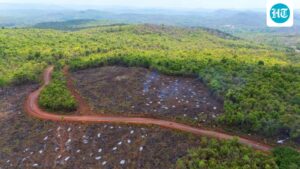 chhattisgarh-forest-department-deploys-locals-at-30-locations-in-abujamad:-officials