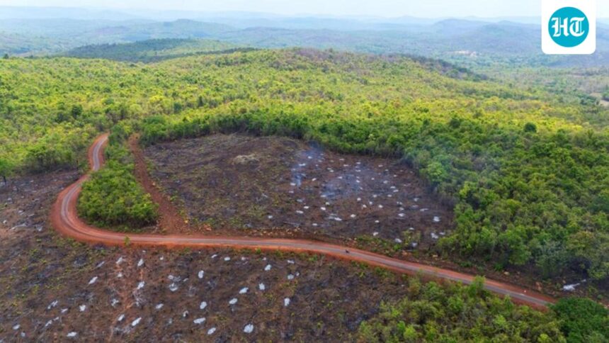 chhattisgarh-forest-department-deploys-locals-at-30-locations-in-abujamad-officials | GIBN chhattisgarh-forest-department-deploys-locals-at-30-locations-in-abujamad:-officials