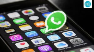 the-government-has-reported-risks-of-fraud-and-impersonation-in-whatsapp-username-feature,-meity-to-connect-to-meta-for-chats