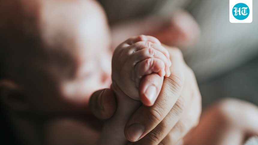 birth-and-death-registrations-are-almost-identical-to-estimates-in-2024 | GIBN birth-and-death-registrations-are-almost-identical-to-estimates-in-2024