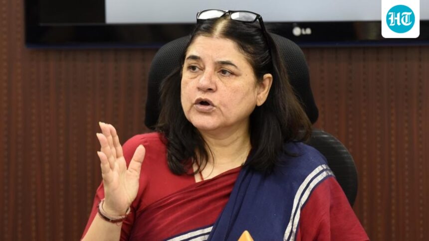 maneka-gandhi-vs-jain-organizations-controversy-erupts-over-peacock-feather-remarks | GIBN maneka-gandhi-vs-jain-organizations:-controversy-erupts-over-peacock-feather-remarks