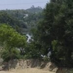 ngt-orders-probe-into-mining-near-sariska-tiger-reserve,-forms-joint-committee