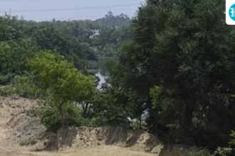 ngt-orders-probe-into-mining-near-sariska-tiger-reserve,-forms-joint-committee