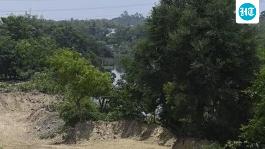 ngt-orders-probe-into-mining-near-sariska-tiger-reserve,-forms-joint-committee