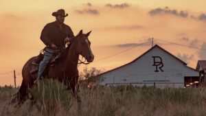 how-many-episodes-are-there-in-season-1-of-“dutton-ranch”?-complete-guide