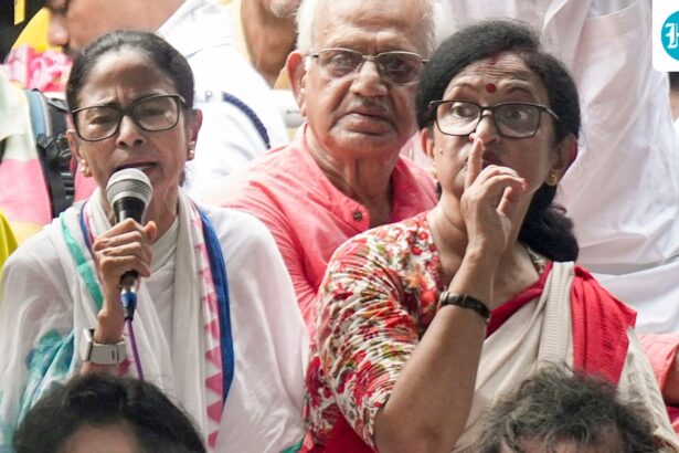 ‘didi,-this-was-not-necessary’:-mamata-banerjee-loyalist-chandrima-bhattacharya-breaks-silence-on-quitting-tmc-posts