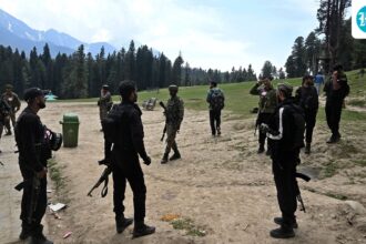 the-hunt-for-let-terrorists-enters-its-second-day-in-shopian-in-jammu-and-kashmir