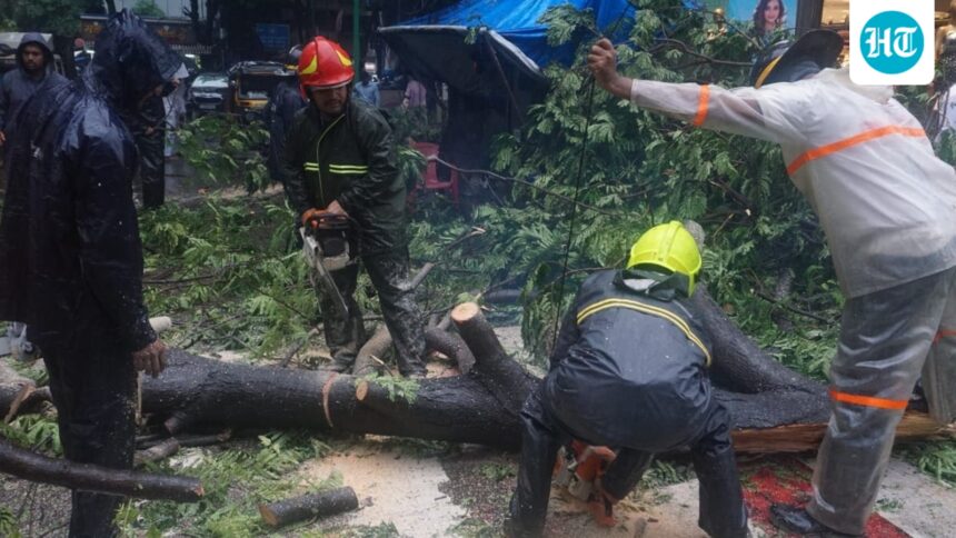 ‘every-tree-makes-us-anxious’:-8-years-after-fatal-tree-branch-accident,-mumbai-family-lives-with-monsoon-‘shock’