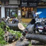 a-63-year-old-man-died-after-a-tree-fell-and-was-uprooted-by-rain-in-mumbai’s-kurla
