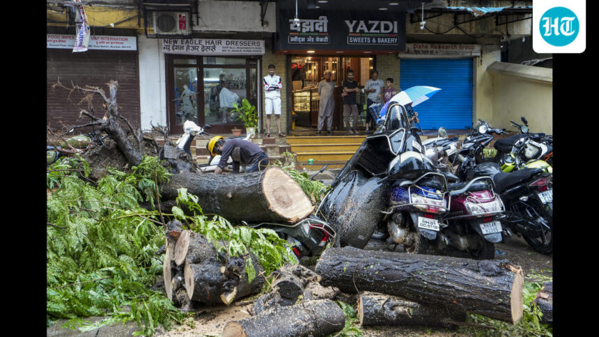 a-63-year-old-man-died-after-a-tree-fell-and-was-uprooted-by-rain-in-mumbai’s-kurla