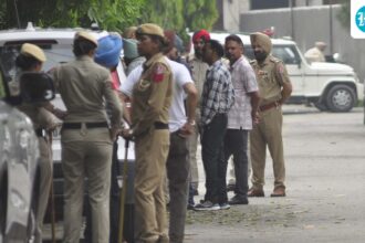 a-4-year-old-girl-was-dragged-and-beaten-to-death-by-stray-dogs-in-hoshiarpur,-punjab.