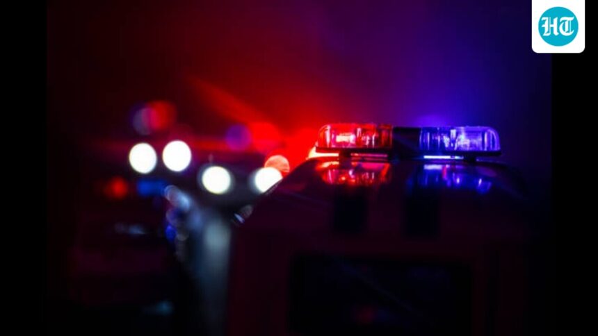 man-dies-after-police-chase-ends-in-plane-crash-in-rajasthan;-partner-contract