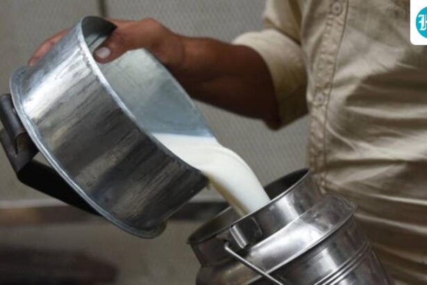 fda-busts-formula-milk-racket-in-five-districts-of-maharashtra