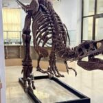 the-natural-history-museum,-aizawl-has-been-notified-as-the-21st-‘dedicated-repository’-of-india