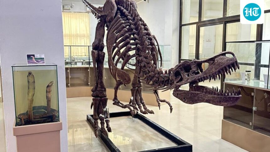 the-natural-history-museum,-aizawl-has-been-notified-as-the-21st-‘dedicated-repository’-of-india
