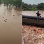 watch:-maharashtra-floods-sweep-away-3,000-lpg-cylinders,-and-locals-risk-their-lives-as-they-rush-to-collect-them