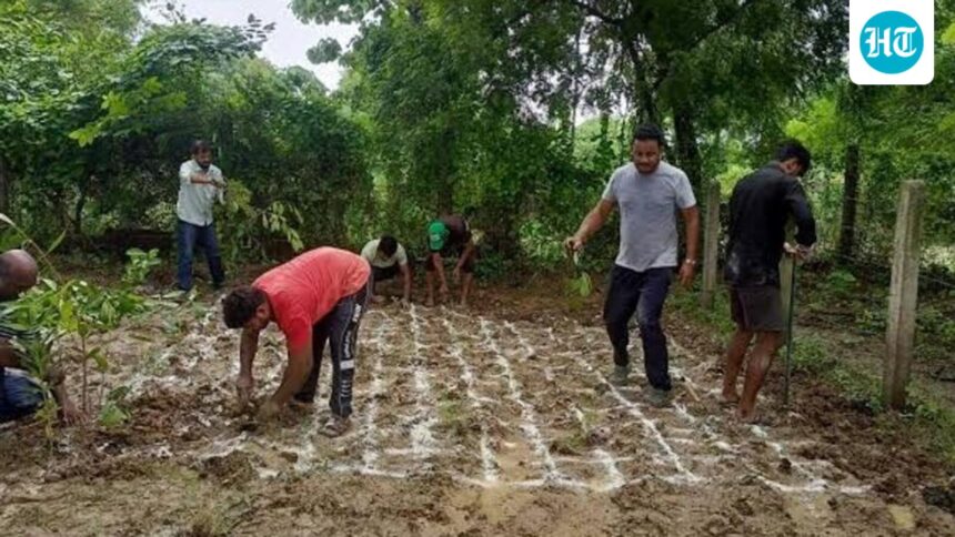 150-acre-reclaimed-fly-ash-site-in-aravallis-to-acquire-miyawaki-forest-hpgcl-tells-ngt | GIBN 150-acre-reclaimed-fly-ash-site-in-aravallis-to-acquire-miyawaki-forest,-hpgcl-tells-ngt