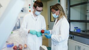 how-to-prevent-cyclosporiasis:-symptoms-to-look-for-and-treat