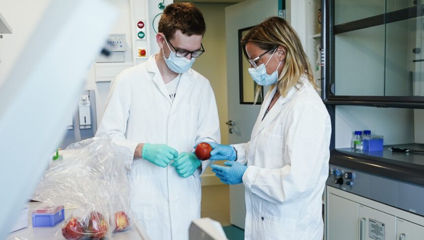 how-to-prevent-cyclosporiasis:-symptoms-to-look-for-and-treat
