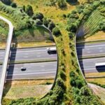 in-10-years,-the-apex-wildlife-watchdog-has-approved-96%-of-infrastructure-projects