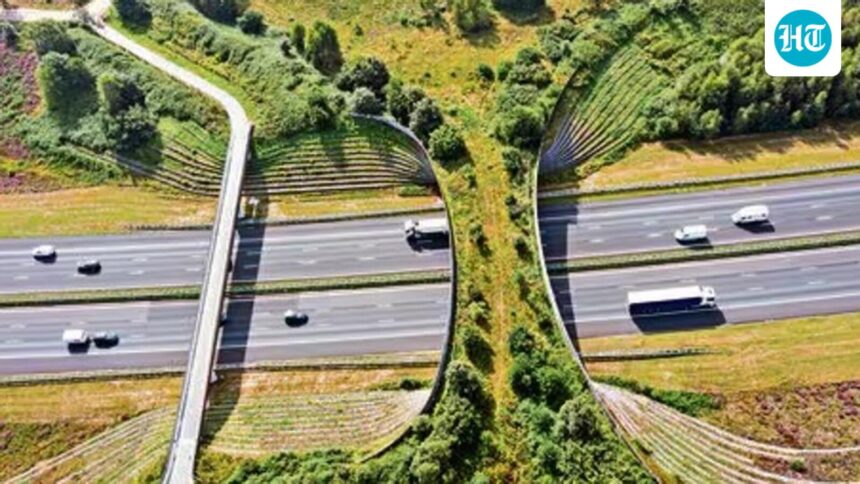 in-10-years,-the-apex-wildlife-watchdog-has-approved-96%-of-infrastructure-projects