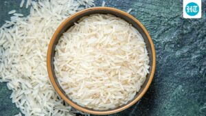 a-government-body-refuses-to-divert-rs-1,160-crore-worth-of-rice-for-ethanol-production-in-madhya-pradesh-claim
