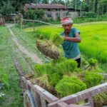 kharif-crops:-you-reap-what-you-sow-—-unless-the-monsoon-has-other-plans