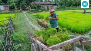 kharif-crops:-you-reap-what-you-sow-—-unless-the-monsoon-has-other-plans
