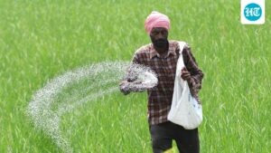 the-council-of-ministers-approves-a-urea-investment-policy-to-enhance-local-production