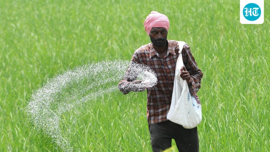 the-council-of-ministers-approves-a-urea-investment-policy-to-enhance-local-production | GIBN the-council-of-ministers-approves-a-urea-investment-policy-to-enhance-local-production