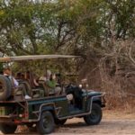 supreme-court-approves-country’s-first-night-safari-in-lucknow-in-up