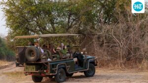 supreme-court-approves-country’s-first-night-safari-in-lucknow-in-up