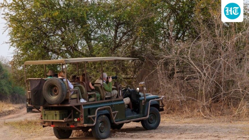 supreme-court-approves-country’s-first-night-safari-in-lucknow-in-up