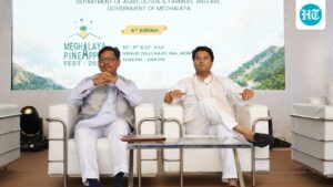 the-meghalaya-company-is-taking-premium-pineapple-to-the-indian-markets-through-new-retail-partnerships
