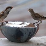weather-bee:-will-2026-rank-as-warmest-year-on-record?