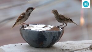 weather-bee:-will-2026-rank-as-warmest-year-on-record?