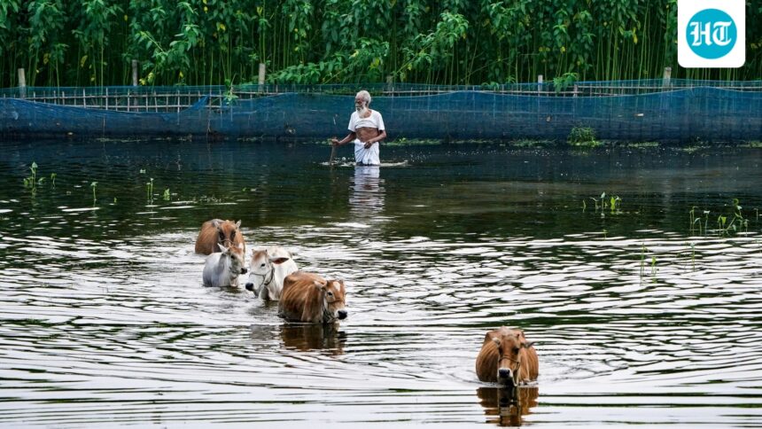 why-does-assam-get-flooded-every-year-experts-say-its-not-just-rain | GIBN why-does-assam-get-flooded-every-year?-experts-say-it’s-not-just-rain