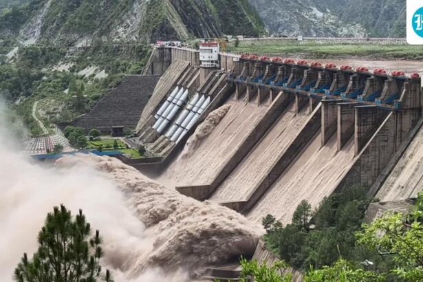 indus-waters-treaty-will-not-work-in-its-current-form-as-pakistan-supports-terrorism:-india