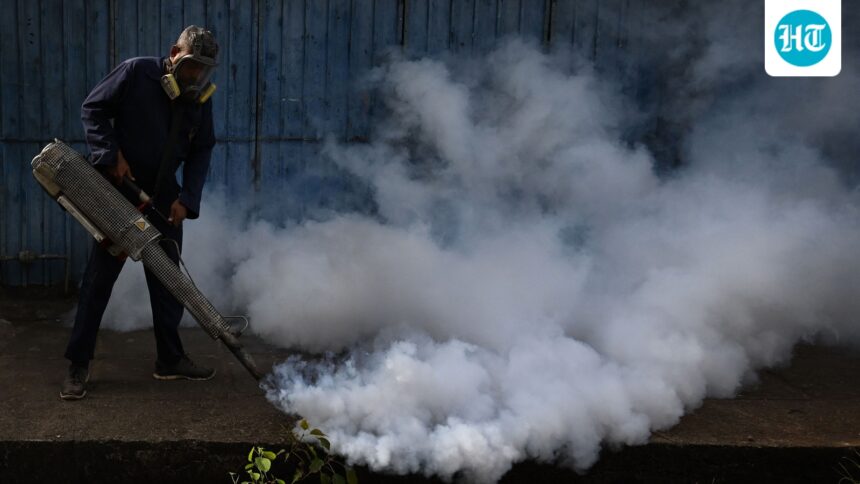 india-approves-first-dengue-vaccine-qdenga-how-it-works-who-is-eligible-and-why-its-not-a-silver-bullet | GIBN india-approves-first-dengue-vaccine-qdenga:-how-it-works,-who-is-eligible,-and-why-it’s-not-a-silver-bullet
