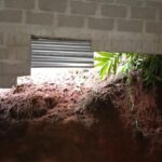 landslide-in-meghalaya-kills-7-year-old-boy,-injures-four-family-members:-police