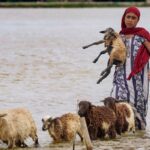why-assam-floods:-the-obvious-answer-is-brahmaputra,-but-there’s-so-much-more-to-it