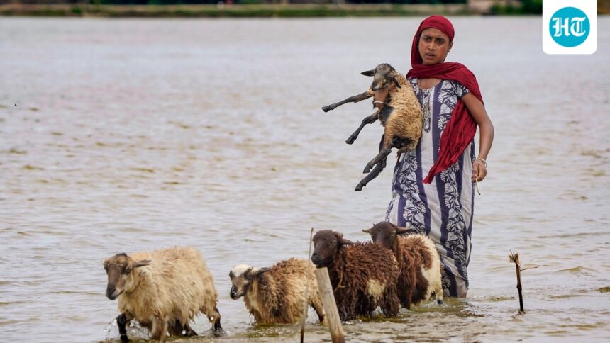 why-assam-floods:-the-obvious-answer-is-brahmaputra,-but-there’s-so-much-more-to-it