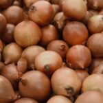 onion-prices-in-maharashtra-are-lower-than-cost-of-production,-says-lok-sabha-government