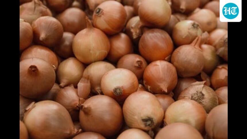 onion-prices-in-maharashtra-are-lower-than-cost-of-production,-says-lok-sabha-government