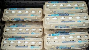 why-are-eggs-called?-what-to-know-about-the-2026-salmonella-recall