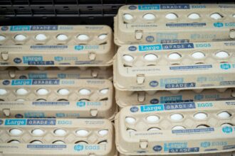 why-are-eggs-called?-what-to-know-about-the-2026-salmonella-recall