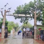 rajasthan’s-keoladeo-national-park-is-facing-a-water-crisis-as-the-panchana-dam’s-supply-dries-up