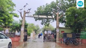 rajasthan’s-keoladeo-national-park-is-facing-a-water-crisis-as-the-panchana-dam’s-supply-dries-up
